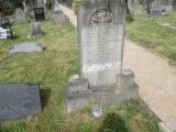 image of grave number 736537